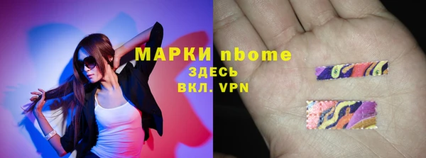 стафф Аркадак