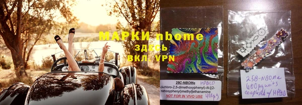 стафф Аркадак